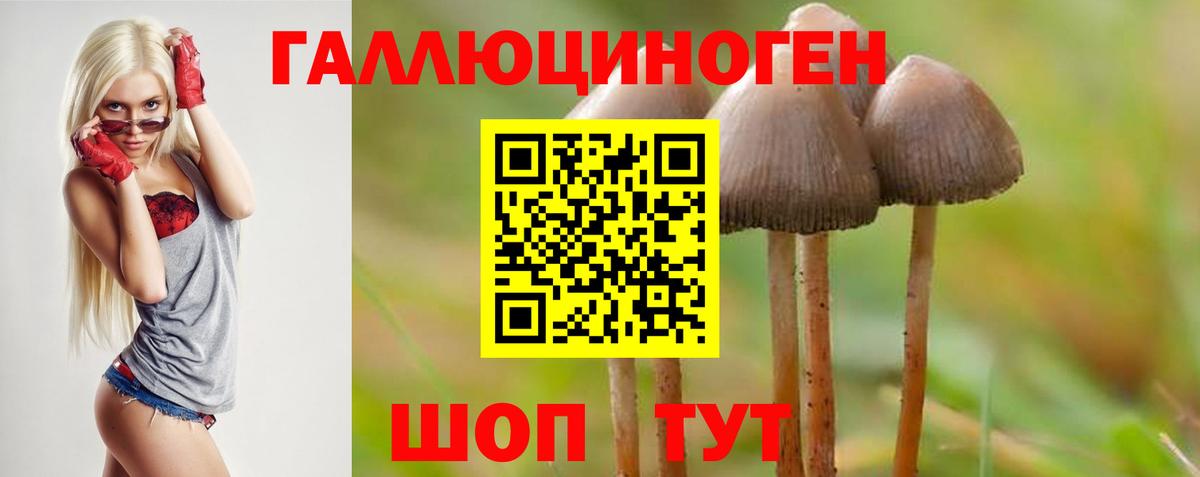 Сунжа  Галлюциногенные грибы мухоморы  Вход с VPN 