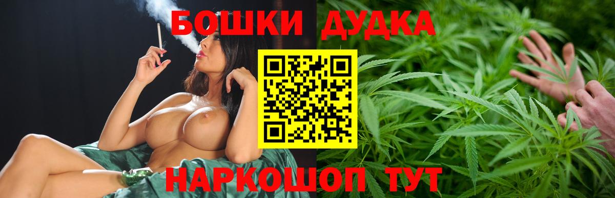 Бошки Шишки семена  Бошки марихуана гибрид  Сунжа  Канабис White Widow  Вход с VPN 